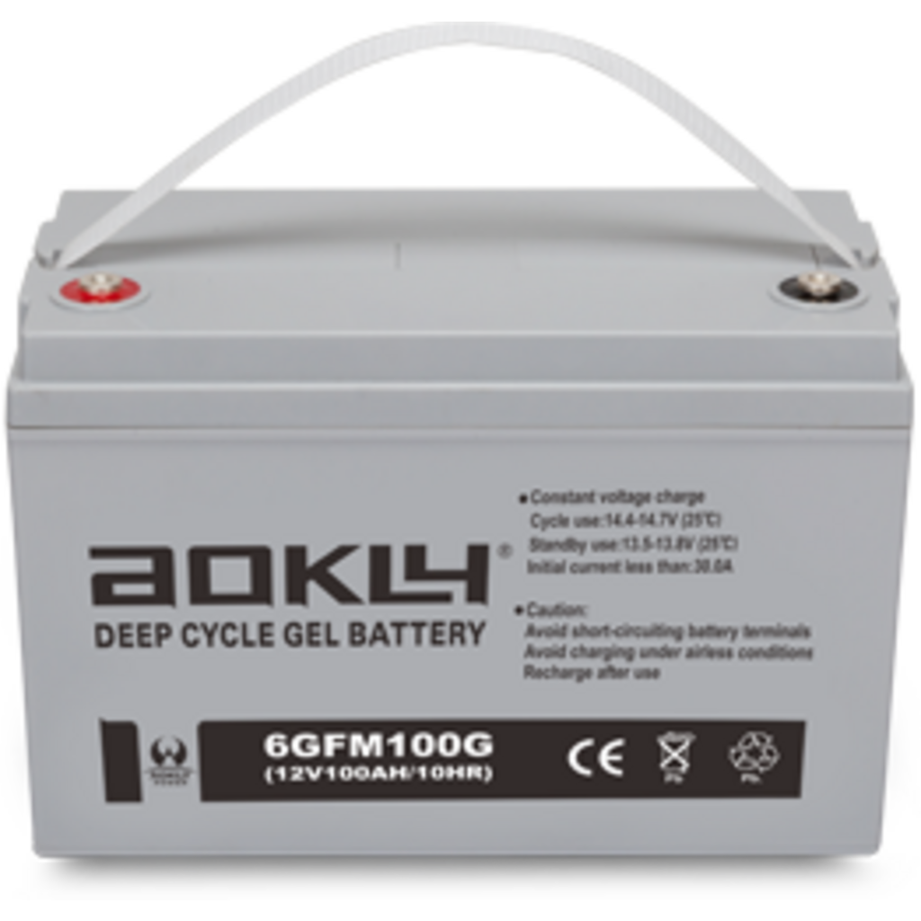 6GFM100G_AOKLY_2