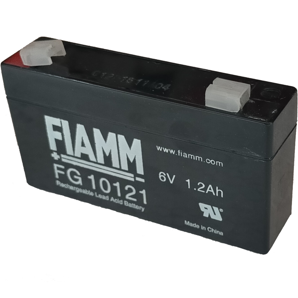 FG10121_FIAMM