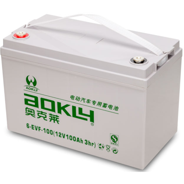 Batería Aokly 6EVF100 Agm Vrla Battery. Tecnología AGM. 12V - 100Ah (332x174x216mm)