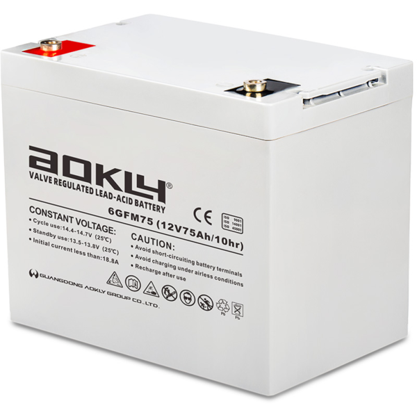Batería Aokly 6GFM75 Agm Vrla Battery. Tecnología AGM. 12V - 75Ah (260x168x210mm)
