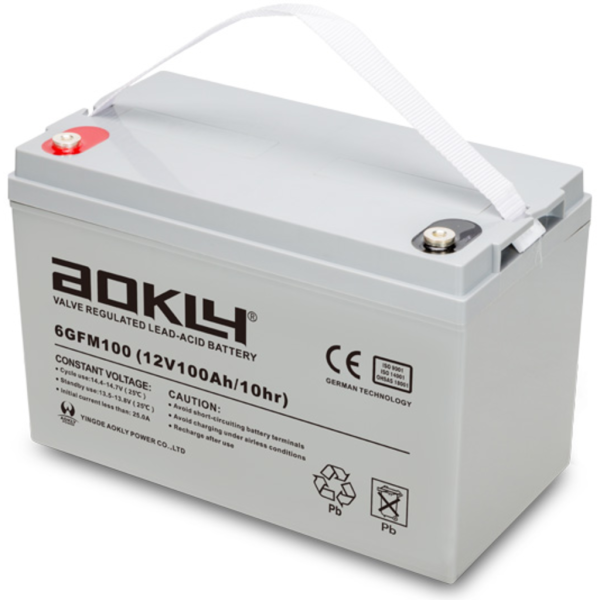 Batería Aokly 6GFM100 Agm Vrla Battery. Tecnología AGM. 12V - 100Ah (330x172x214mm)