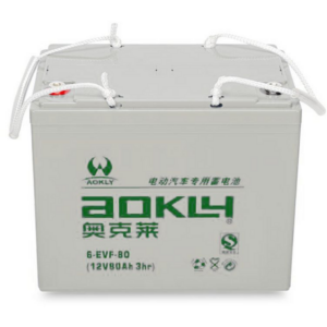 Batería Aokly 6EVF80 Agm Vrla Battery. Tecnología AGM. 12V - 115Ah (260x168x212mm)