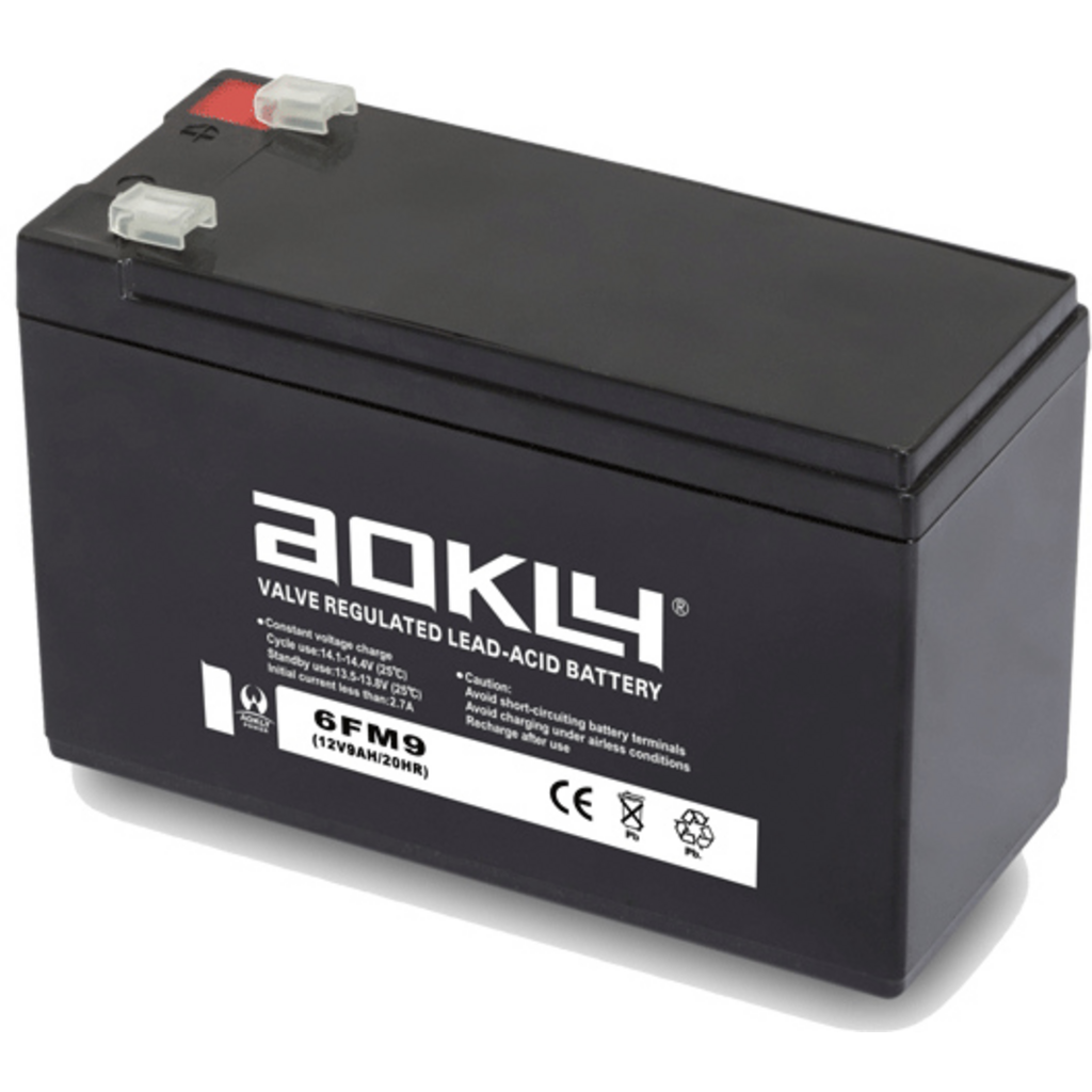 Batería Aokly 6FM9 Agm Vrla Battery. Tecnología AGM. 12V - 9Ah (152x65x95mm) 2 Batería Aokly 6FM9 Agm Vrla Battery. Tecnología AGM. 12V - 9Ah (152x65x95mm) - Imagen 2