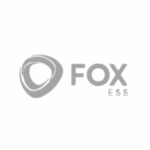 foxes